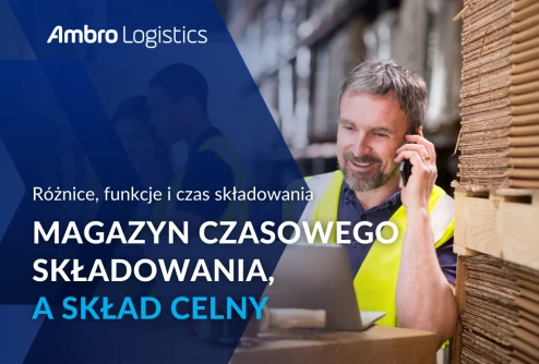 Magazyn czasowego składowania a skład celny – różnice, funkcje i czas składowania