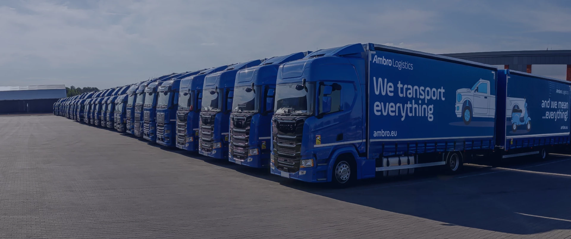 Ambro Group
The biggest capacity